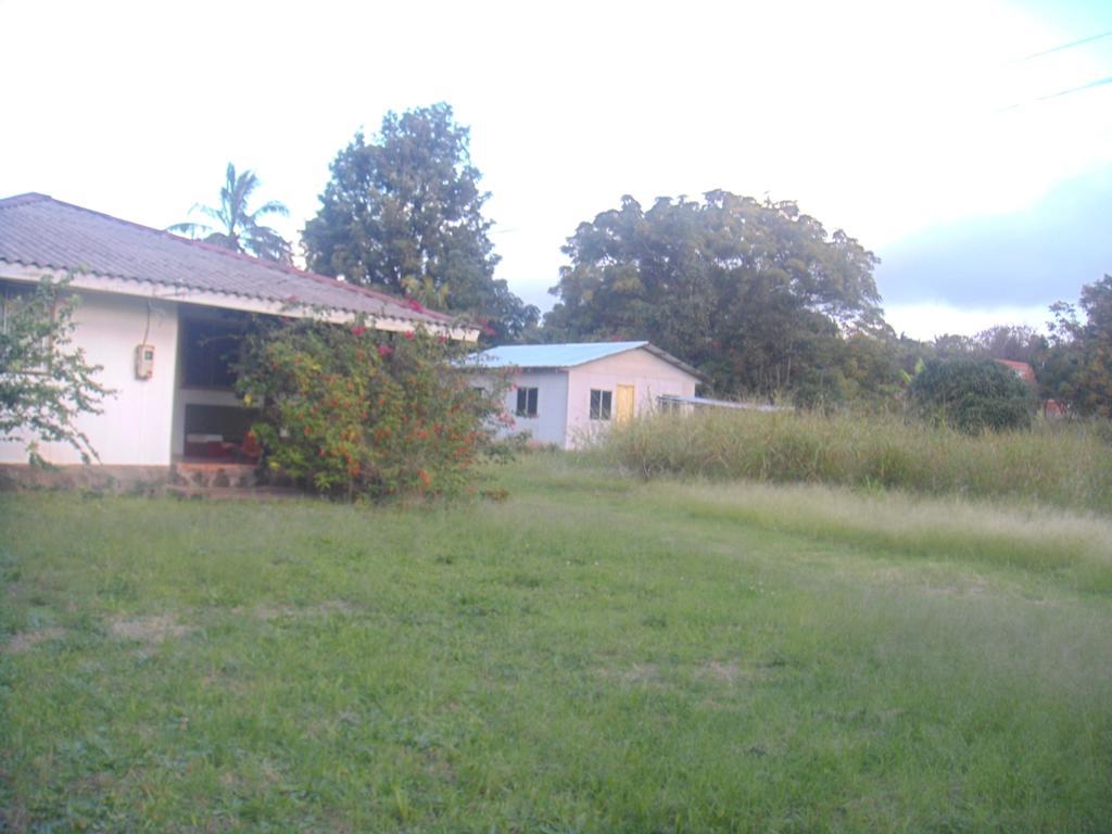 Cabanas Varua Hanga Roa Zimmer foto